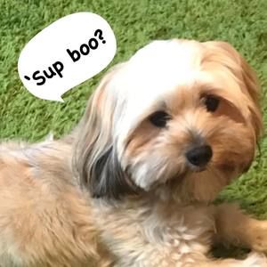 Meet your Posher, Gena